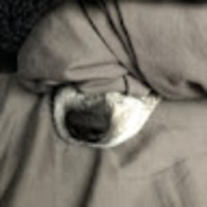 Meet your Posher, Leanna